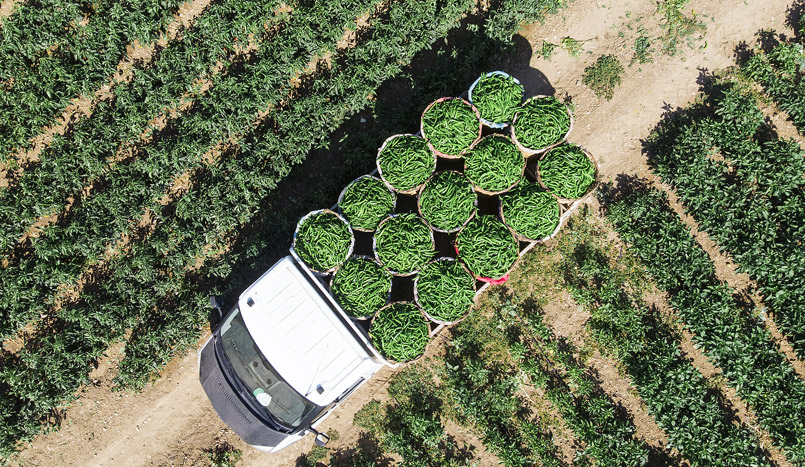 陜西汽車(chē)控股集團(tuán)有限公司