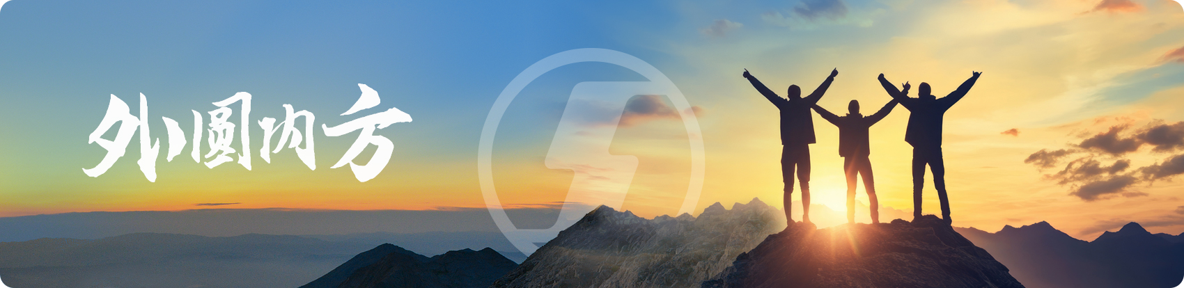 陜西汽車(chē)控股集團(tuán)有限公司